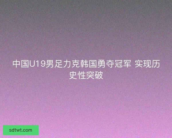 中国U19男足力克韩国勇夺冠军 实现历史性突破